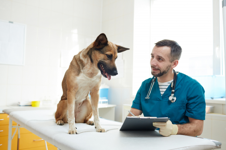 un perro junto a su veterinario con una tablet con un software para clínicas veterinarias